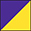 Purple Yellow
